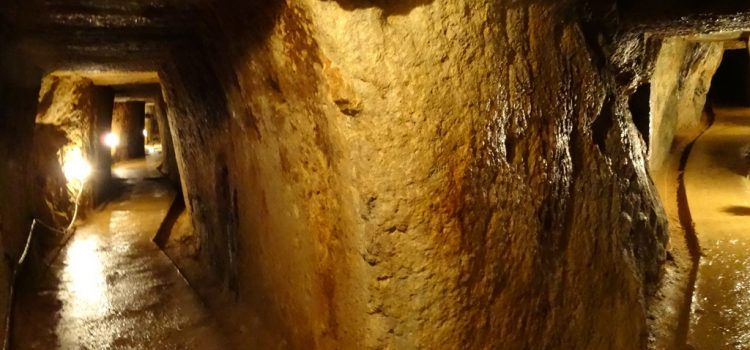 Solicitare USR adresată Guvernului Tudose cu ocazia Zilei Patrimoniului Mondial UNESCO