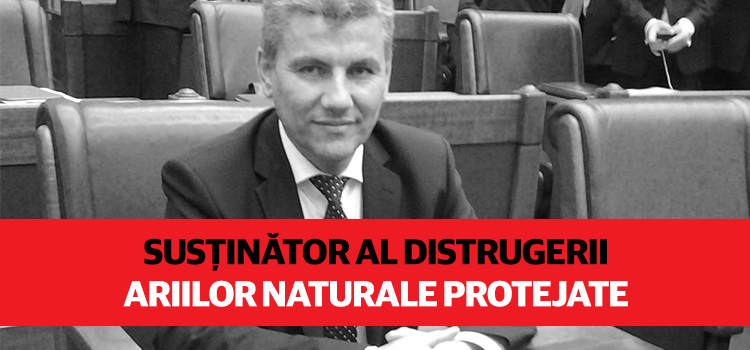 PSD a nominalizat un susținător al distrugerii ariilor naturale protejate la șefia Ministerului Apelor și Pădurilor