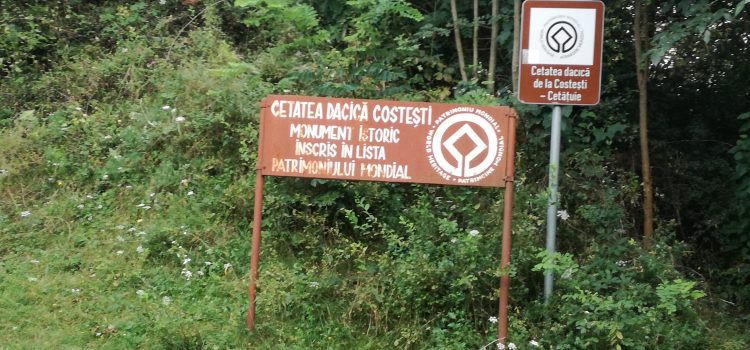 Carmen Dan protejează monumentul istoric Liviu Dragnea, nu cetățile dacice din UNESCO