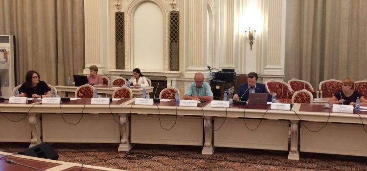 PSD și ALDE nu vor să se afle adevărul despre blocarea votului românilor din Diaspora