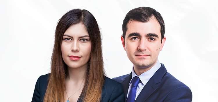Sprijin pentru antreprenori. Proiectul USR care reduce birocrația la înființarea firmelor a fost adoptat