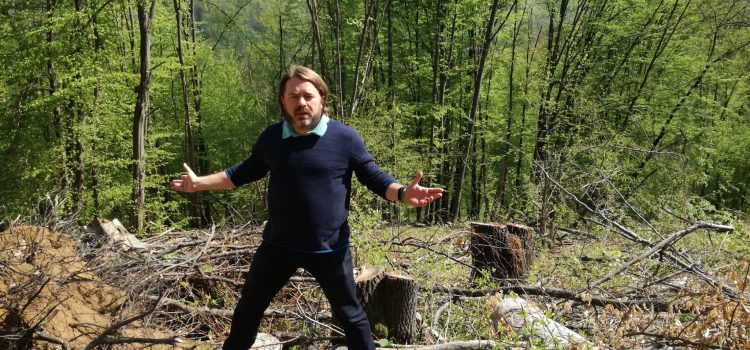 Amenințări cu moartea, în timpul documentării de către senatorul USR Mihai Goțiu a tăierilor ilegale de păduri din județul Cluj
