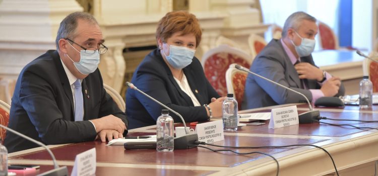Oana Özmen: „Este important să încurajăm utilizarea materialelor de construcție prietenoase cu mediul”