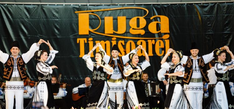 PNL sabotează cultura timișoreană. Consilierii locali au refuzat, fără niciun argument valid, să aprobe Agenda Culturală