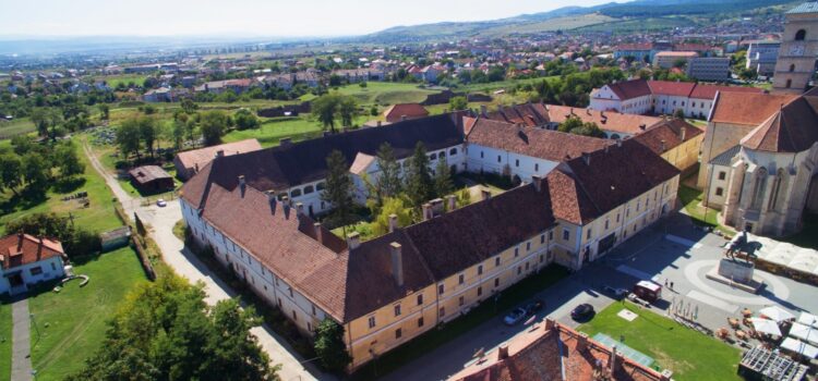 Primarul USR PLUS Gabriel Pleșa restaurează Palatul Principilor, important monument istoric