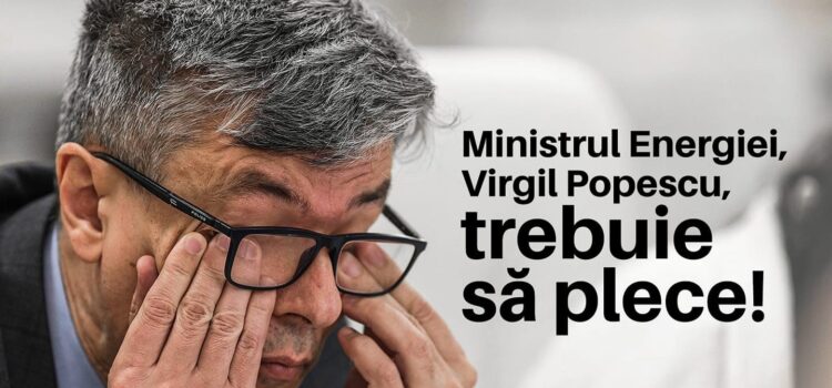 Pollyanna Hangan: Există interese ca termocentrala Mintia să fie vândută pe nimic